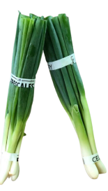 CEBOLLIN EMPACADO 200 GR