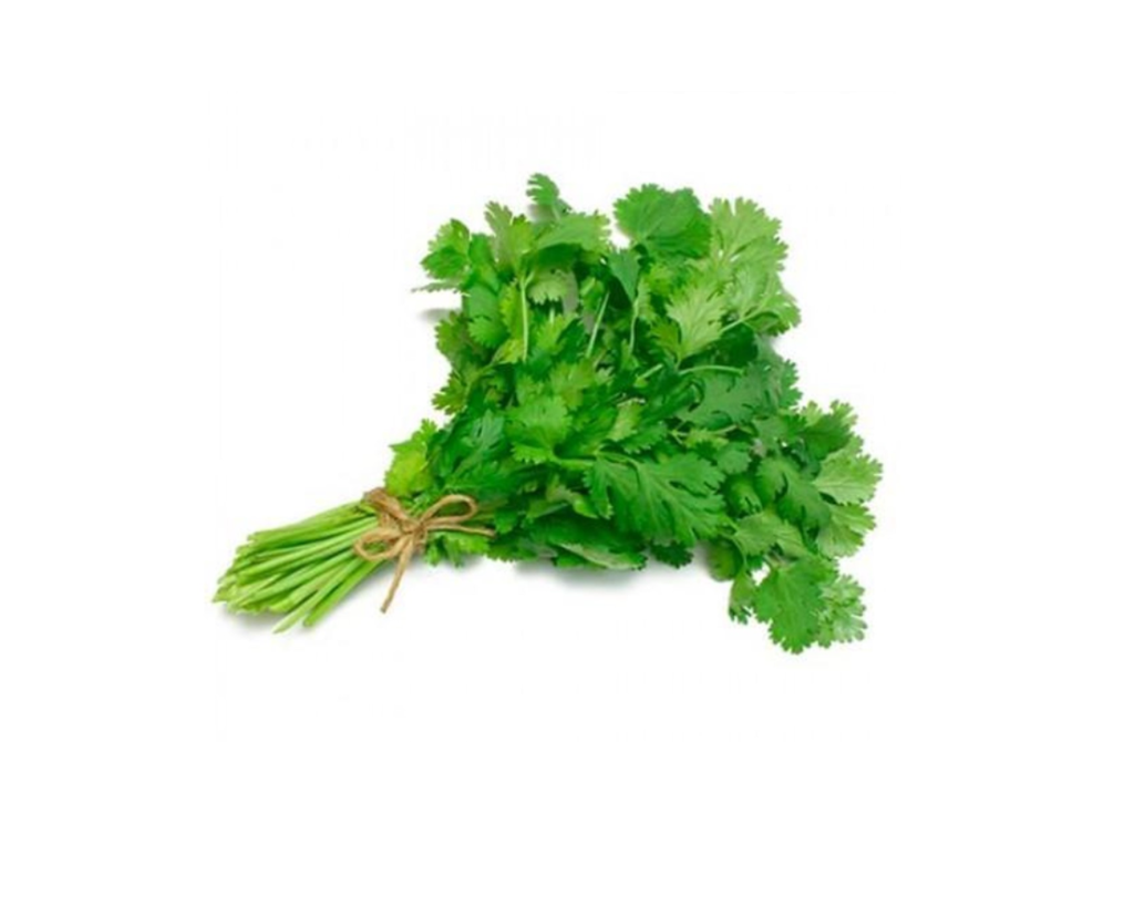 [000304000000] CILANTRO EMPACADO