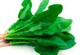 ESPINACA ITALIANA