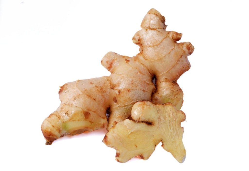 JENGIBRE
