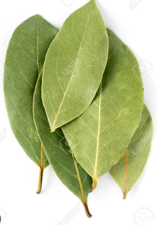 [000725000000] LAUREL