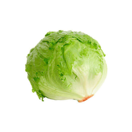 LECHUGA AMERICANA