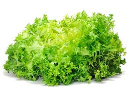 LECHUGA ENDIVIA X KG