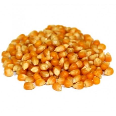 MAIZ DE COTUFA 500 GR