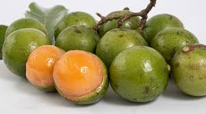 [000617000000] MAMON X KG