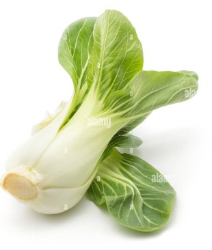 PAK CHOI