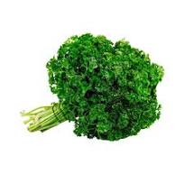 PEREJIL EMPAQUE 200GR