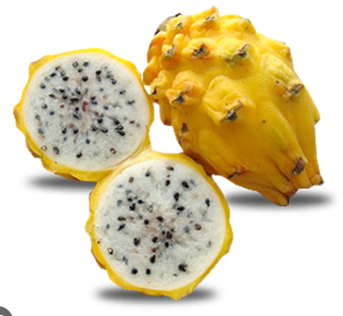 [000616000000] PITAHAYA X KG