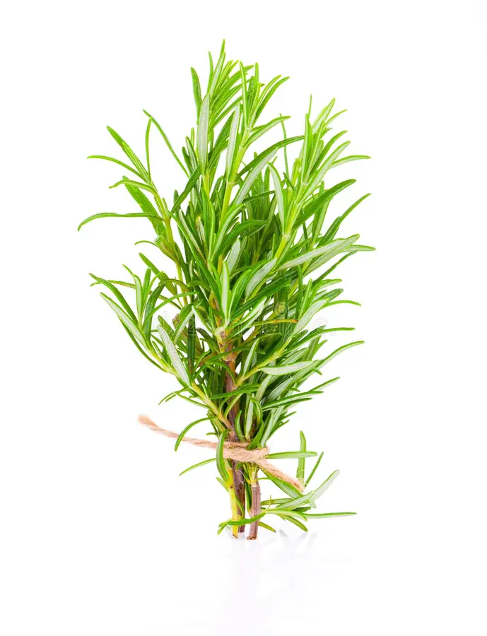 ROMERO EMPAQUE X 100 GR