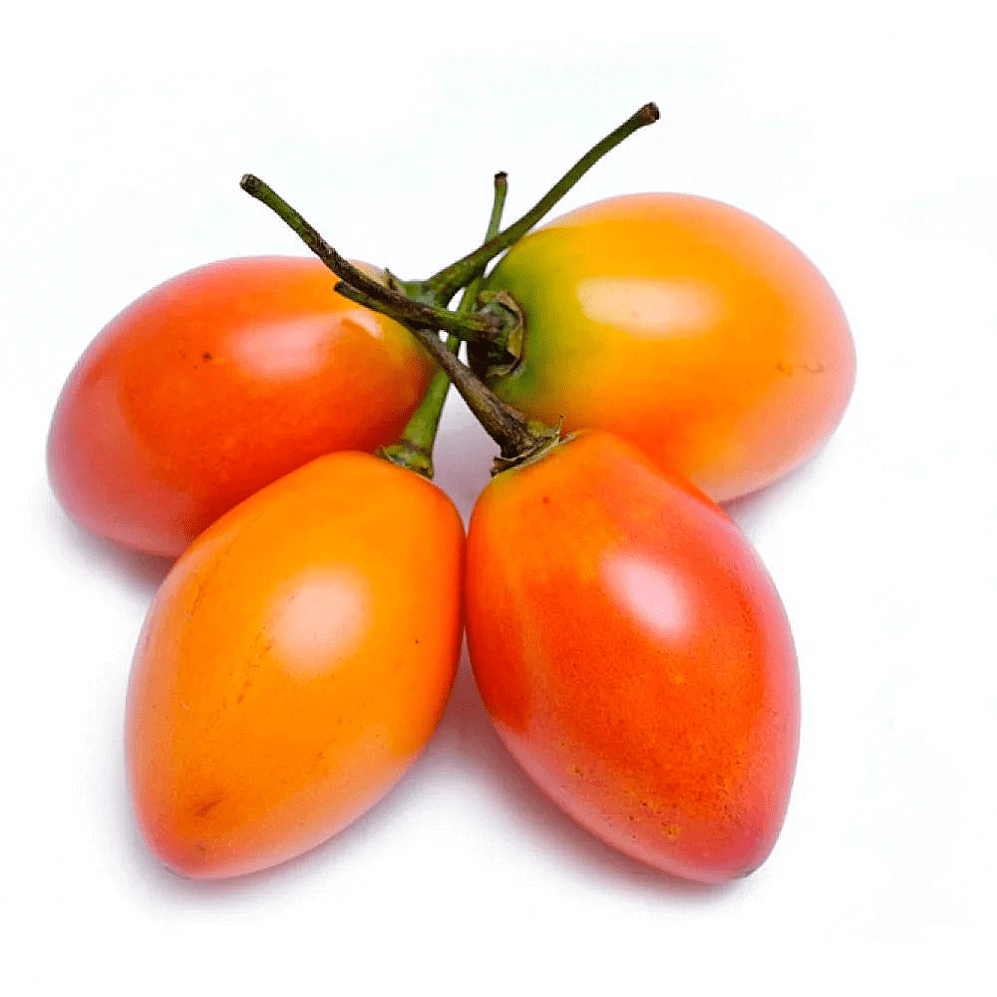 TOMATE DE ARBOL