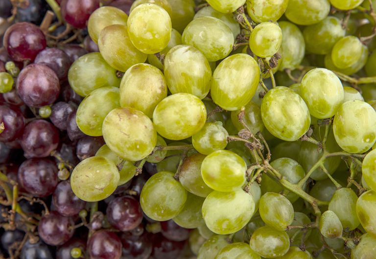 UVAS CRIOLLAS