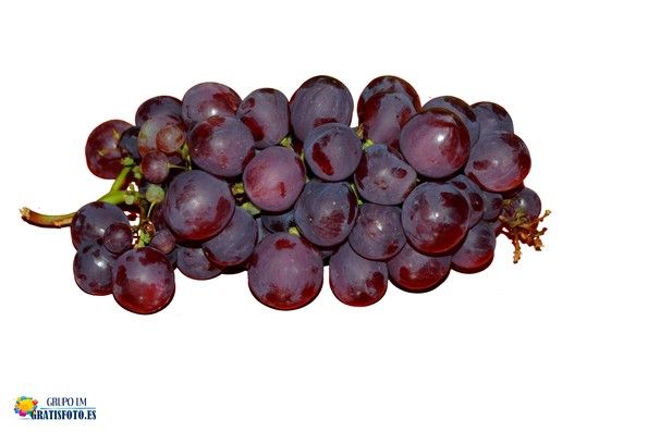 UVAS CRIOLLAS