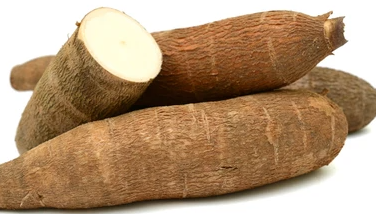 YUCA