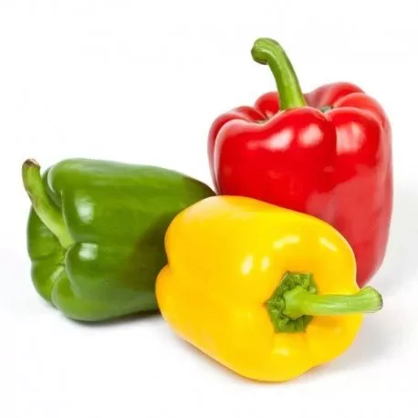 PIMENTONES DE COLORES X KILO