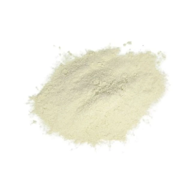 CEBOLLA EN POLVO 100 GR